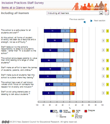 Items at a Glance report